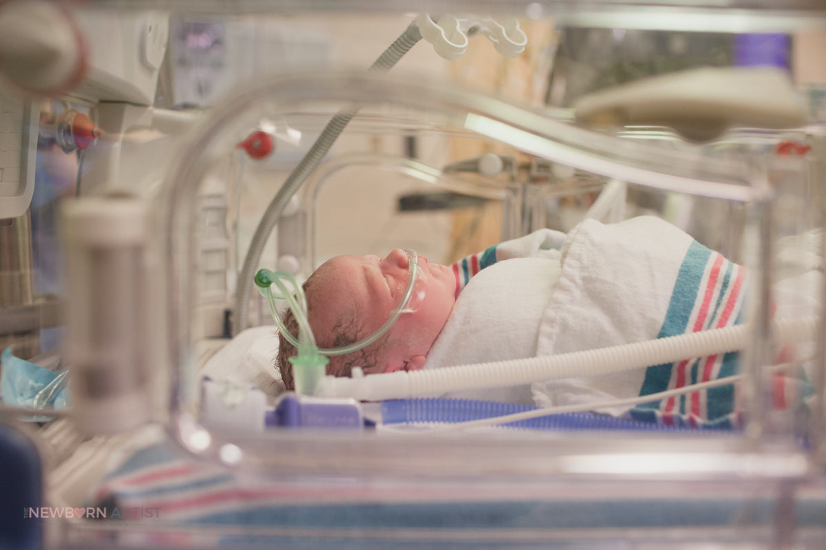 The Newborn Artist - Puyallup, Washington, United States