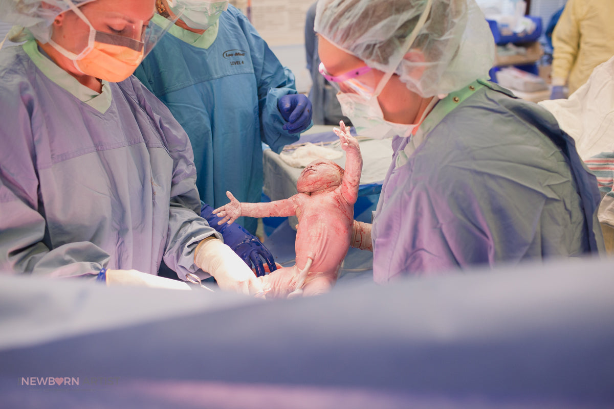 The Newborn Artist - Puyallup, Washington, United States