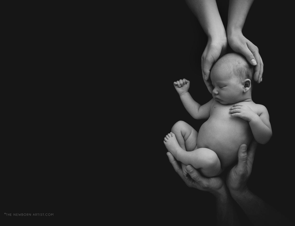 The Newborn Artist - Puyallup, Washington, United States